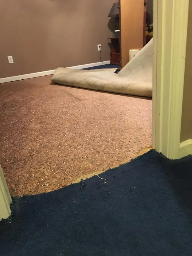 Carpet pad removal revealing water damage during Drying & Dehumidification in Maxatawny